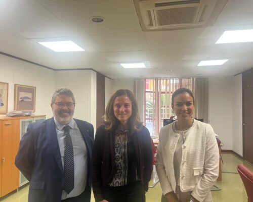 Encuentro institucional entre el Colegio de Mediadores de Seguros de Las Palmas y la Directora General del Tesoro y Política Financiera del Gobierno de Canarias
